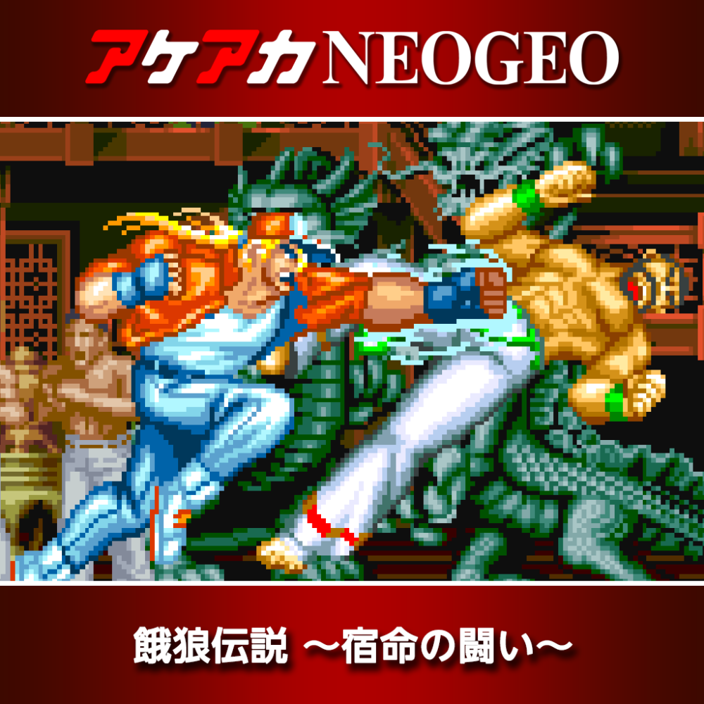 餓狼伝説スペシャル MVS NEO-GEO アーケードゲームロムカセット 30】「リアルバウト餓狼伝説スペシャルのロムカセットが動くか